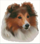 (image for) Shetland Sheepdog (No Background)